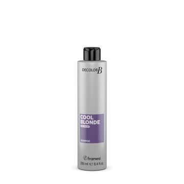 Framesi Decolor B Cool Blonde Shampoo 250ml