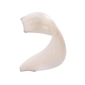 No Yellow Color S.1202 Anti-Yellow Superlightener 100ml