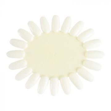 NailPerfect Color Wheel Oval Natural 20 tips