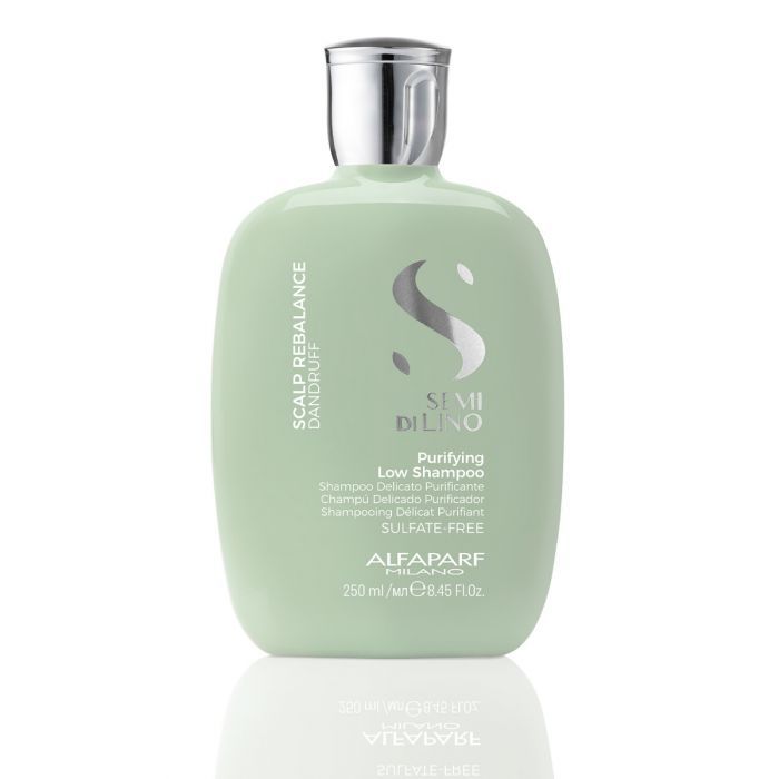 Alfaparf Scalp Rebalance Purifying Low Shampoo 250ml main product photo